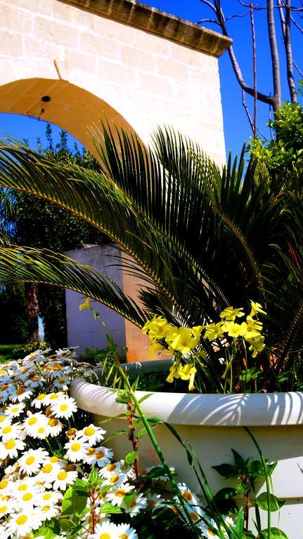 منزل الضيف أوستوني  في Antica Masseria Carparelli المظهر الخارجي الصورة